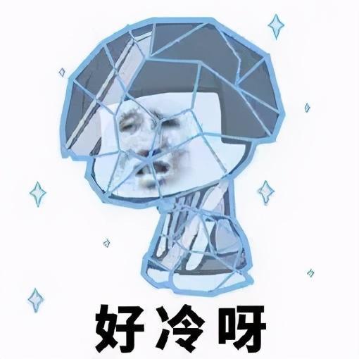 AAPEX（Automotive Aftermarket Products Expo）